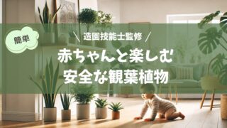 室内に安全な観葉植物が配置された明るく清潔な空間。観葉植物は高い棚や天井から吊るされており、赤ちゃんの手が届かない位置に置かれている。赤ちゃんが安全に床で遊んでおり、柔らかい中立色の家具が背景にある。