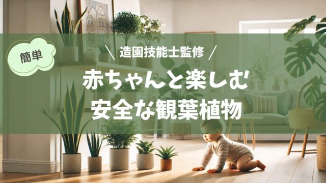 室内に安全な観葉植物が配置された明るく清潔な空間。観葉植物は高い棚や天井から吊るされており、赤ちゃんの手が届かない位置に置かれている。赤ちゃんが安全に床で遊んでおり、柔らかい中立色の家具が背景にある。