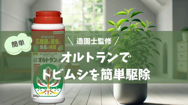 観葉植物のトビムシ駆除にオルトランを活用する効果的な方法