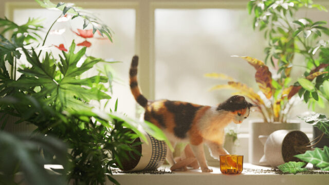 Coffee’s cat repellent effect