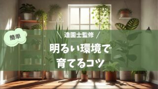 観葉植物が整然と並ぶ明るい室内空間。サンスベリアやポトスなどの観葉植物が木製の棚や窓辺に配置され、柔らかな自然光と人工光が植物を照らし、健康的に育っている様子を表している。