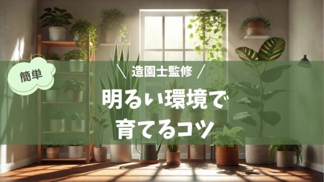 観葉植物が整然と並ぶ明るい室内空間。サンスベリアやポトスなどの観葉植物が木製の棚や窓辺に配置され、柔らかな自然光と人工光が植物を照らし、健康的に育っている様子を表している。