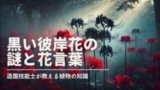 彼岸花が咲く幻想的な風景。赤と黒の彼岸花が静かに佇み、神秘的で幽玄な雰囲気が漂う。背景には薄い霧がかかり、暗い色調の中に静寂と少しの不気味さを感じさせる。