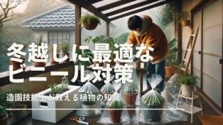 冬の庭で、日本人が観葉植物の鉢に透明なビニールを丁寧にかけている様子。植物はパティオに並べられ、背景にはうっすらと霜が降りている。小さなシダ植物やモンステラ、ポトスなどがあり、発泡スチロールの箱や寒さ対策用のガーデニングツールが見える。