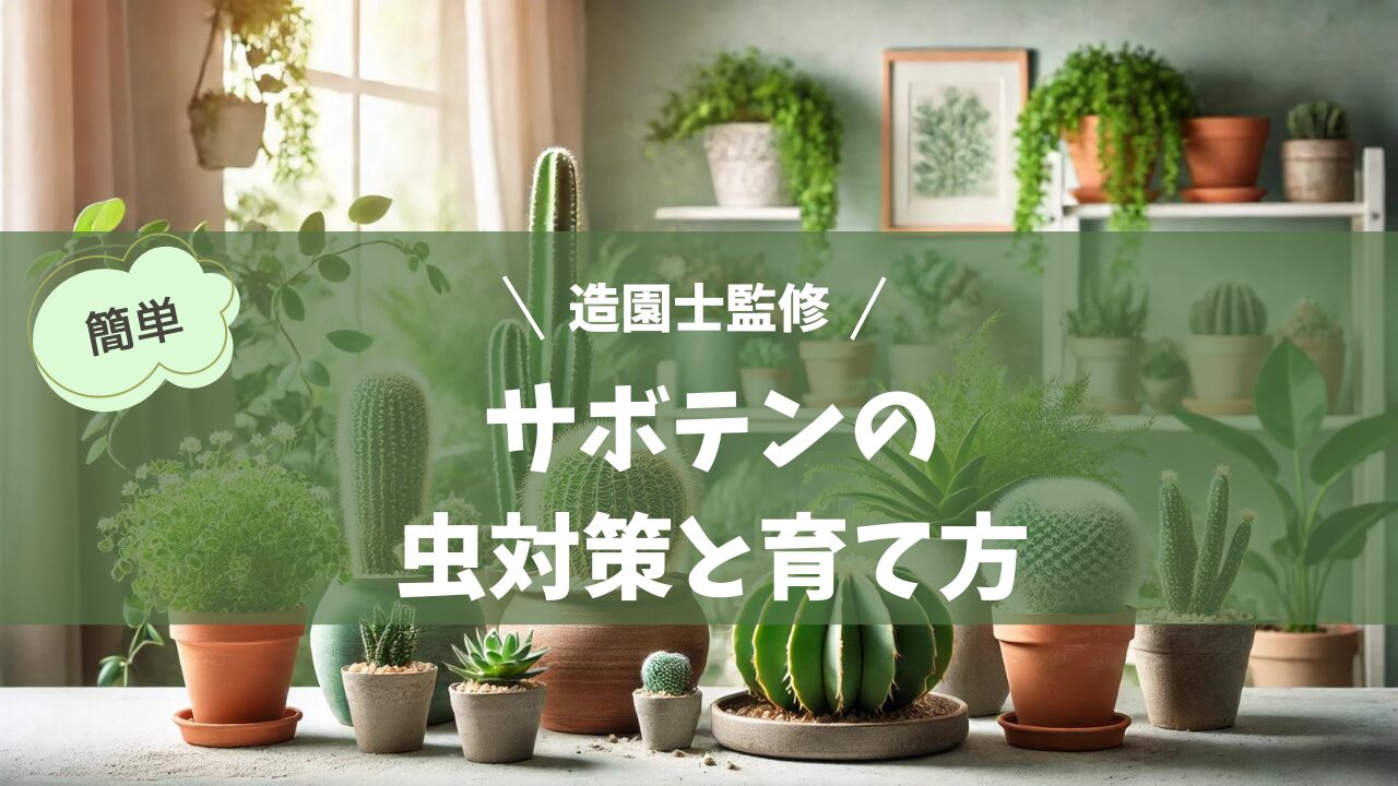 室内で健康的に育つサボテンと観葉植物が並んだ、明るく爽やかなガーデニングシーン。虫のいない、清潔で整った環境が特徴。