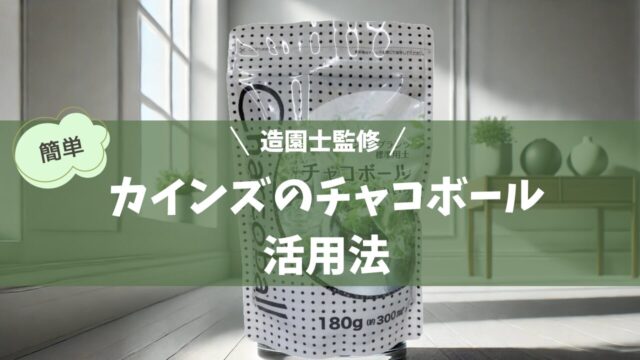 チャコボールを使った観葉植物の育成方法をスタイリッシュに表現。透明なガラス鉢に植えられた植物と、黒いチャコボールがモダンな室内インテリアに調和し、チャコボールの手軽さと美しさを強調するシーンです。