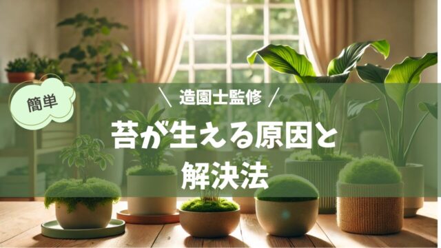 明るい室内に複数の観葉植物が置かれたシーン。いくつかの植木鉢の土の表面には苔が生えており、湿った環境が示されている。窓からやわらかな日差しが差し込み、落ち着いた雰囲気を感じさせる。