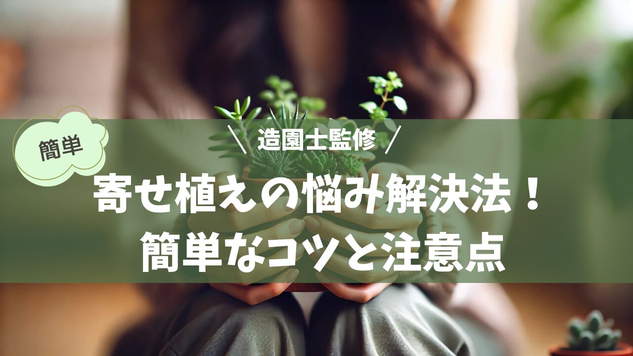 寄せ植えの鉢を持っている日本人の手元のクローズアップ。鉢には多肉植物や緑の葉が含まれており、柔らかい背景に対して植物と手元が際立っている。