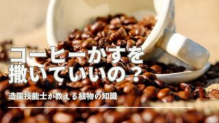 コーヒーかすを撒く際の注意点と適切な対策方法を解説