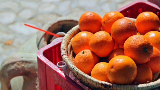 みかんの木を庭に植える際の注意点