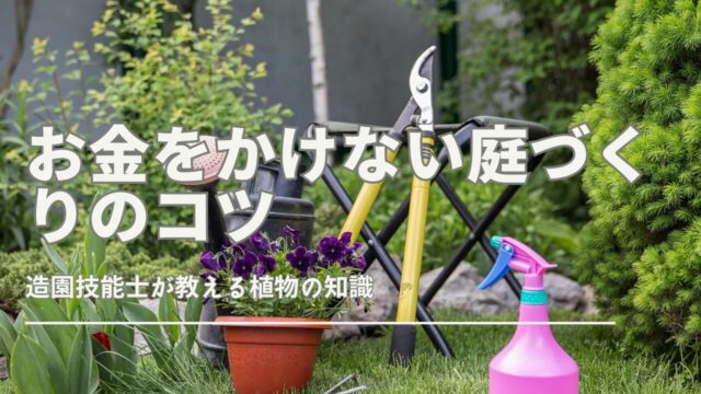 「お金をかけない庭づくり」を実現するためのアイデアやDIYのコツを紹介。防草シートの活用や、手入れの少ない庭づくりの工夫、駐車場スペースの活用方法など、費用を抑えながら理想の庭を作る方法を詳しく解説。