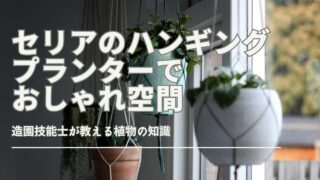セリアの100均ハンギングプランターでおしゃれなインテリアを演出する方法