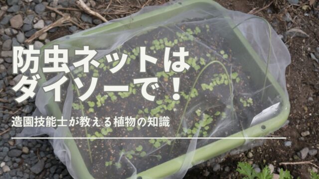 プランターに取り付けた防虫ネットと100均で購入したガーデニング用品のセット