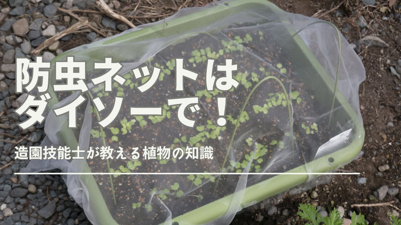 プランターに取り付けた防虫ネットと100均で購入したガーデニング用品のセット
