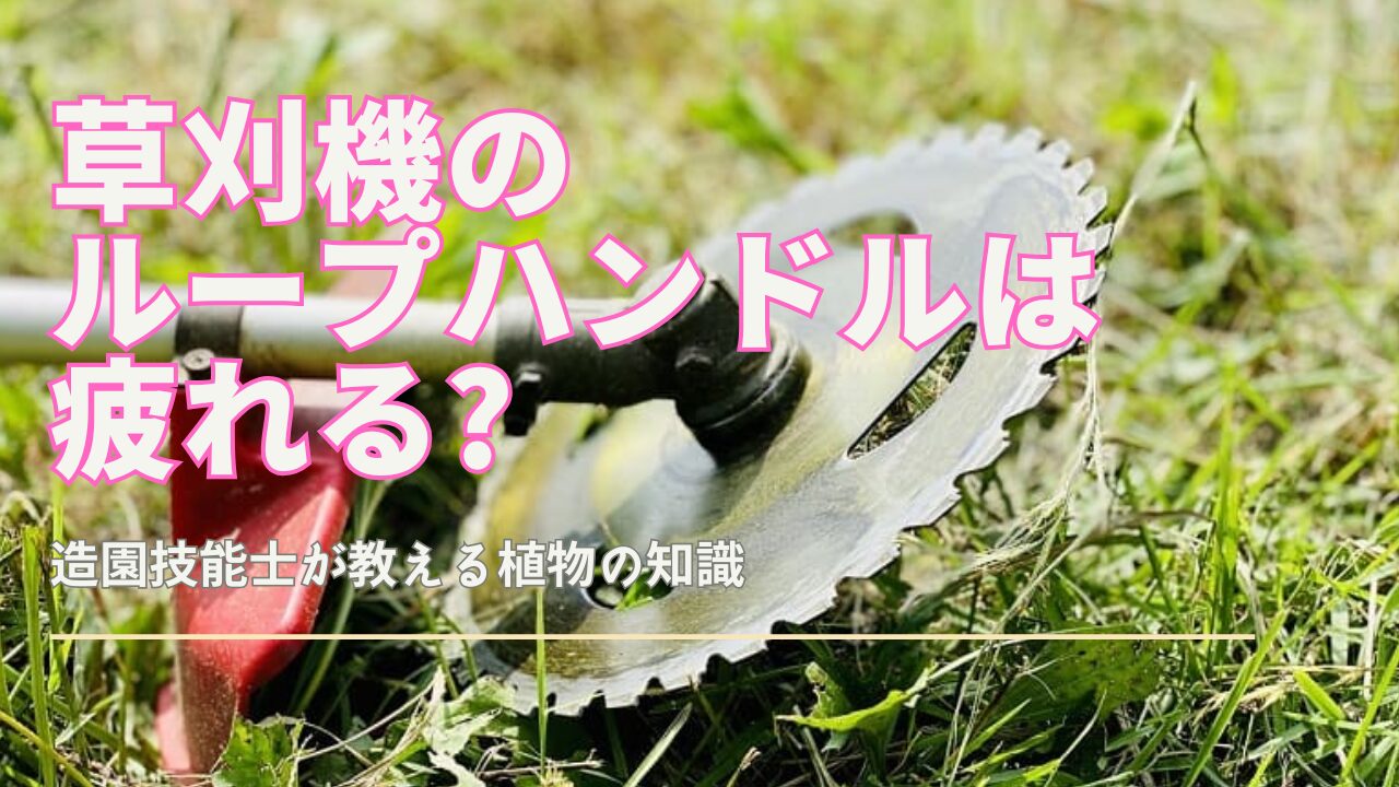 草刈機のループハンドルが疲れる人へ｜原因と負担軽減の実践対策｜観葉 