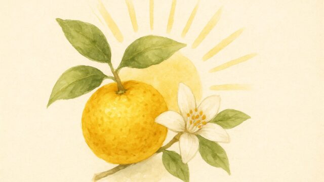 淡い緑と黄の背景の中、黄色い柚子の実と白い五弁の花が描かれており、背後には優しい光を放つ太陽のイメージがある。葉はやわらかい色調で、全体が水彩画風のにじみで表現されている。