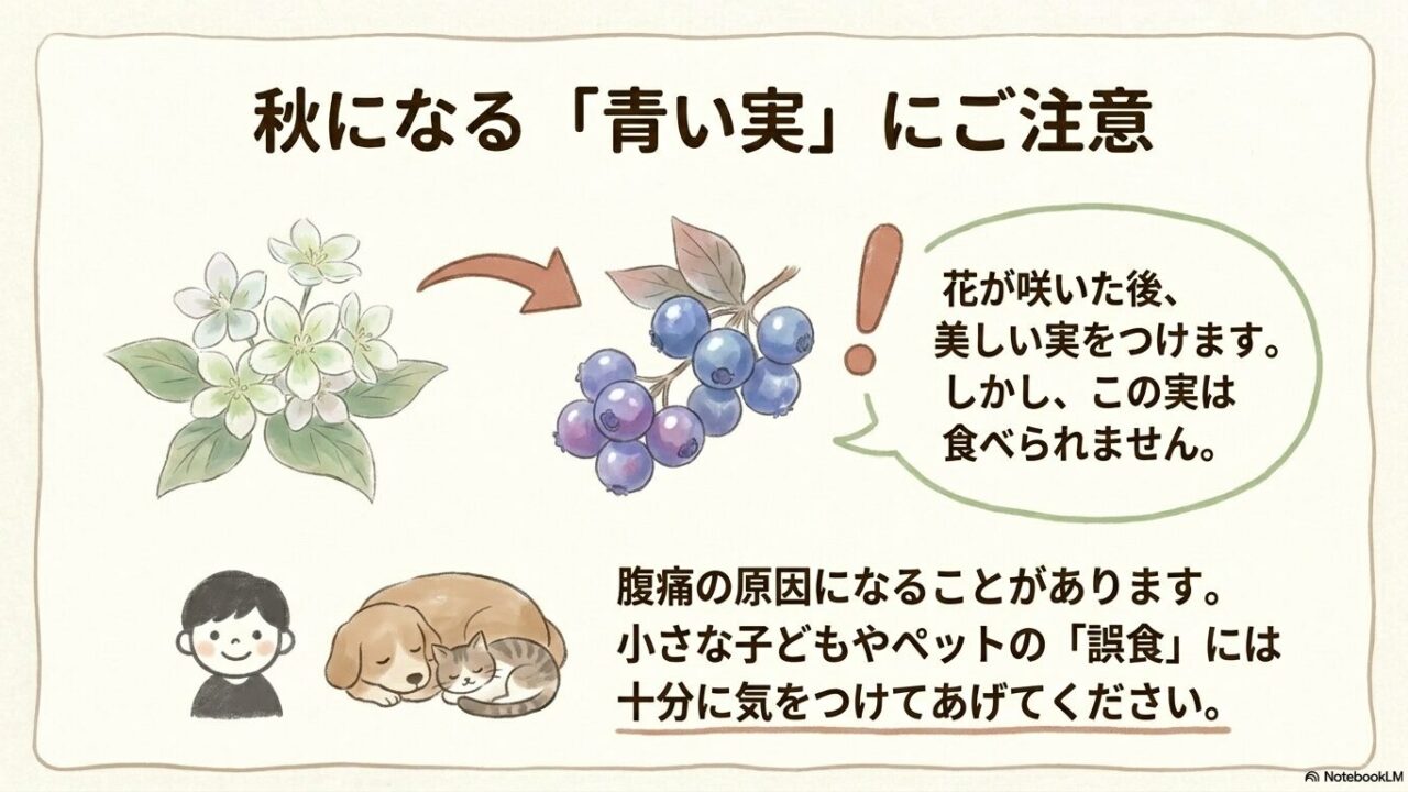 タマリュウの青紫色の実の特徴と子どもやペットへの誤食リスク