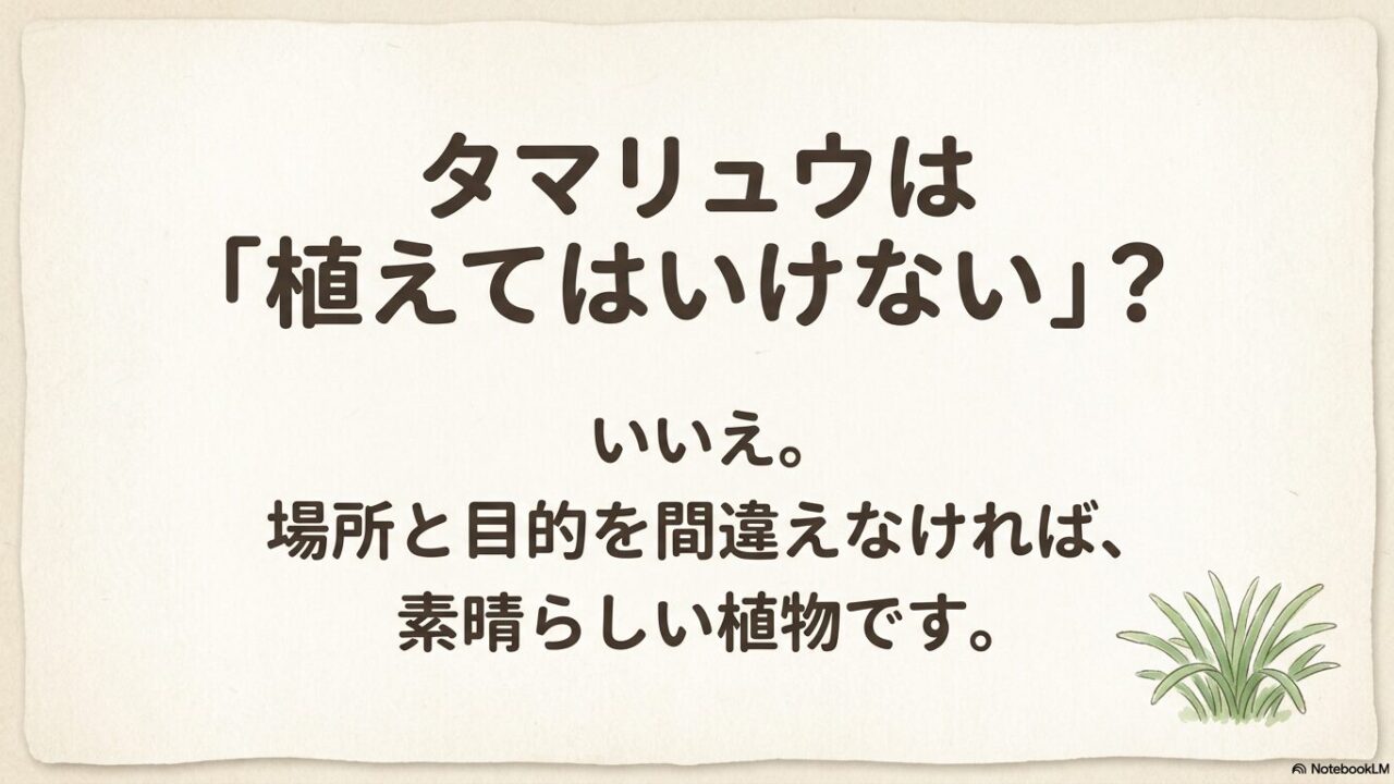 タマリュウを植えてはいけないと言われる理由と結論