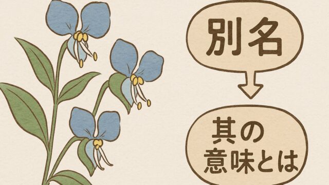 青いツユクサの花が3輪咲いているイラスト。背景は淡い紙のような質感で、植物の名称にまつわる情報が連想される構成。