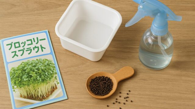 スプラウト栽培に必要な種や道具がテーブルに並べられている様子を撮影した画像