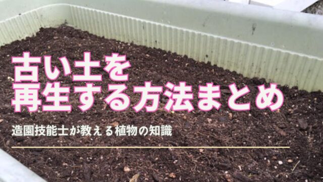 プランターの古い土を再生して再利用するための簡単な手順と消毒方法を紹介するサムネイル画像