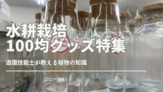 100均グッズで始める水耕栽培の道具と育て方の紹介画像