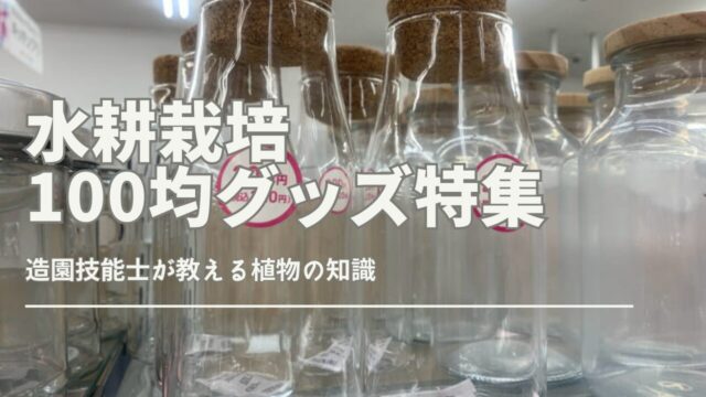 100均グッズで始める水耕栽培の道具と育て方の紹介画像