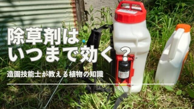 除草剤の効果がいつまで残るかを示すイラスト