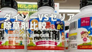 ダイソーで販売されている2種類の除草剤と、それぞれの使い方がわかる屋外のガーデニングシーン。ストレートタイプとお酢の除草剤が並んでいる。