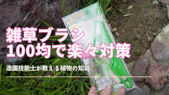 100均で購入できる雑草ブラシと草むしりグッズの比較画像