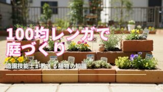 100円ショップのアイテムを使い、創造的に作られた魅力的なレンガの庭の広角写真。様々な多肉植物、ハーブ、カラフルな花が、再利用されたレンガの破片に植えられており、ユニークで気まぐれな質感を生み出しています。