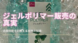 キラキラとした透明のジェルポリマーが、様々な形状のガラス容器に入って、明るい室内の棚に飾られている様子。隣には、小さな観葉植物が置かれている。背景には、窓から自然光が差し込んでいるのが見える。