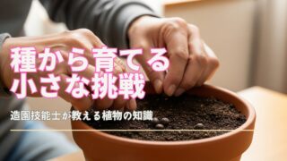 土の入った植木鉢と数粒の梅干しの種。背景は自然光が入る窓辺。家庭での梅の栽培を始めるイメージ。
