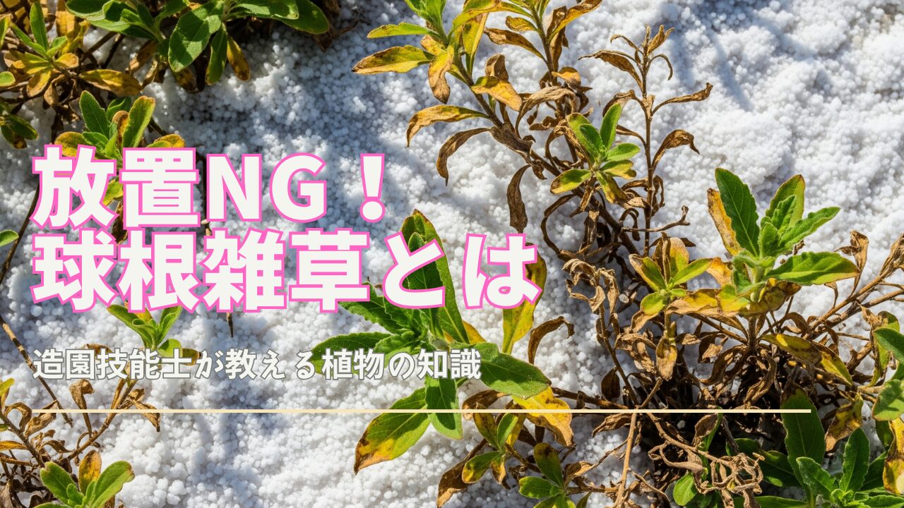 さまざまな雑草のクローズアップ、一部は鮮やかな緑色の葉を持ち、その他は黄色または茶色の葉を持ち、塩の結晶の真っ白な広がりと並置されています。 塩の結晶は日光で輝き、ざらざらした質感を持つ高コントラストの画像を作成します。 過酷な環境にもかかわらず、一見繁栄している雑草は、シーンに野生の美しさを加えています。 照明は自然で明るく、雑草と塩の結晶のコントラストのある色と質感を高めています。 全体的な構成は、過酷な環境に対する雑草の回復力と粘り強さを強調しており、高品質のプロ用カメラレンズで撮影されています。