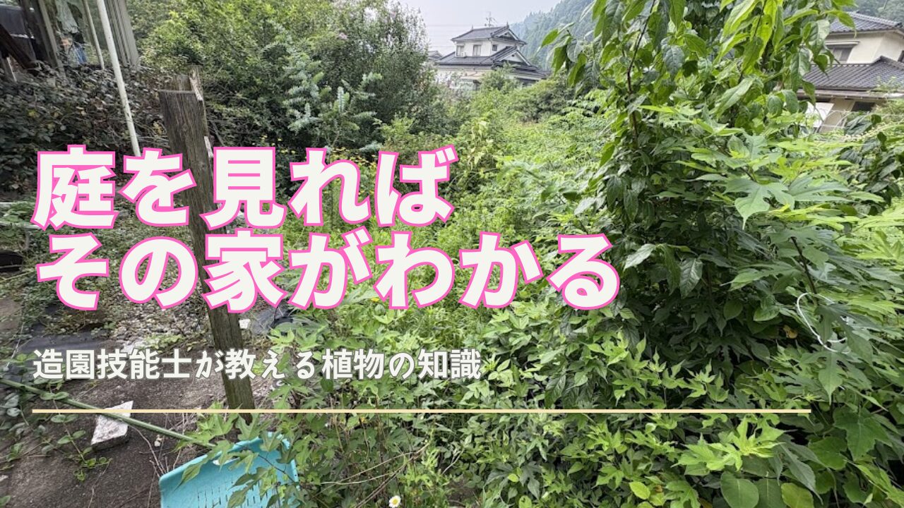 庭 を 見れ ば その 家 が わかる