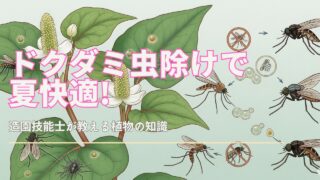 ドクダミの植物が昆虫を寄せ付けない様子を描いたイラスト。