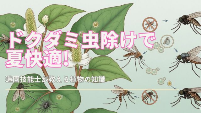 ドクダミの植物が昆虫を寄せ付けない様子を描いたイラスト。