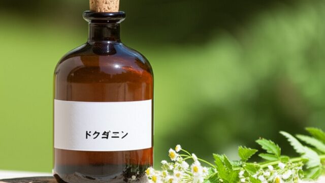 濃い琥珀色の液体が、茶色いガラス製の遮光瓶に八分目ほど入っています。瓶には白いラベルが貼られており、手書き風の文字で「ドクダミチンキ」と書かれています。背景は少し暗く、自然光がわずかに差し込むような、静かで落ち着いた印象の場所です。瓶の周りには、採取されたばかりのような緑色のドクダミの葉が数枚添えられています