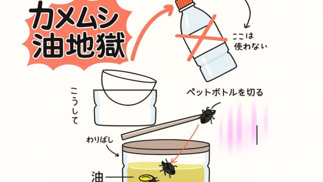 手描き風の日本語インフォグラフィックで、ペットボトルを切って逆さに重ね、内部に油を入れることでカメムシを捕獲するDIYトラップの作り方を説明している。