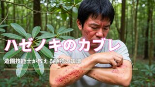 短い黒髪の日本人男性が、ハゼノキによる赤くただれた発疹が顔と腕に広がっている様子。発疹は赤く炎症し、一部は水ぶくれになっている。彼は前腕をかきむしっており、背景にはハゼノキの葉がぼやけて写っている。