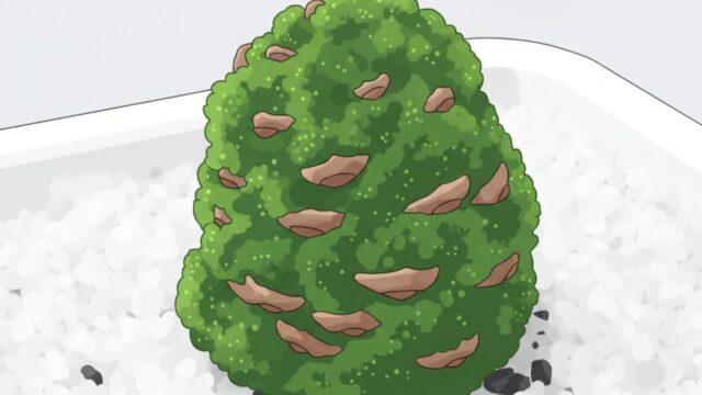 日本人が、苔と土を使い、松ぼっくりを組み合わせて「苔ぼっくり」を作っている。彼の手に持たれた松ぼっくりは土と苔で覆われ、テーブルの上には制作に必要な材料が並べられている。