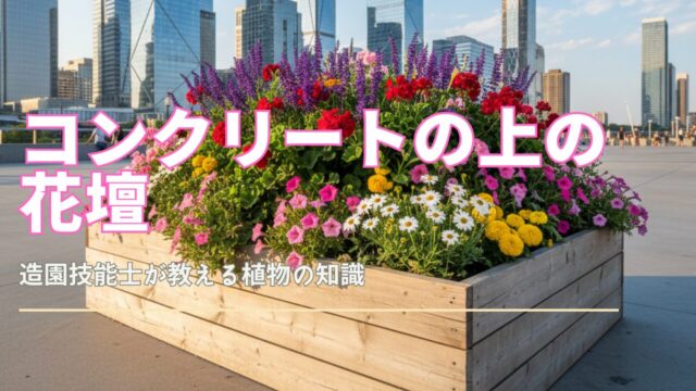 コンクリートの広い地面に、木製の箱型花壇が設置されており、赤、ピンク、紫、白など様々な色の花が豊かに咲いている。背景には現代的なビル群が見える。