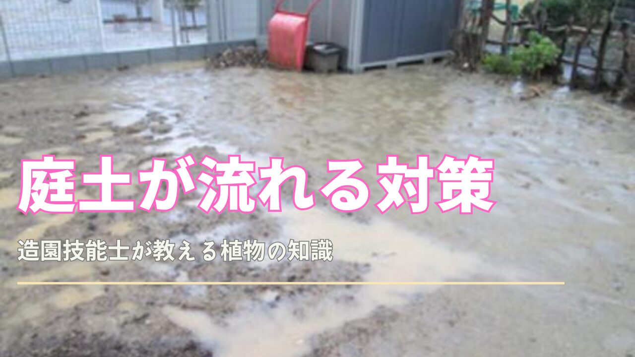 庭土が流れる対策12選|砂利・土留め・排水で土流出を止める|観葉植物のある暮らし