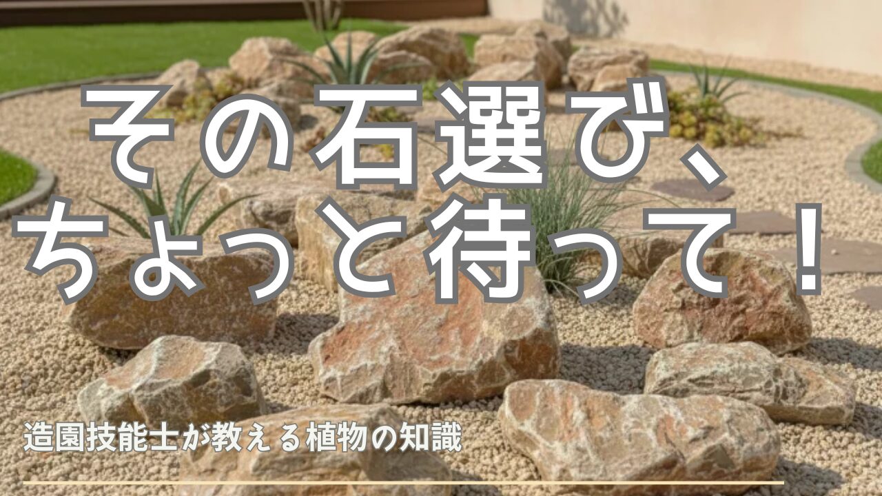 その石選び、ちょっと待って！ 