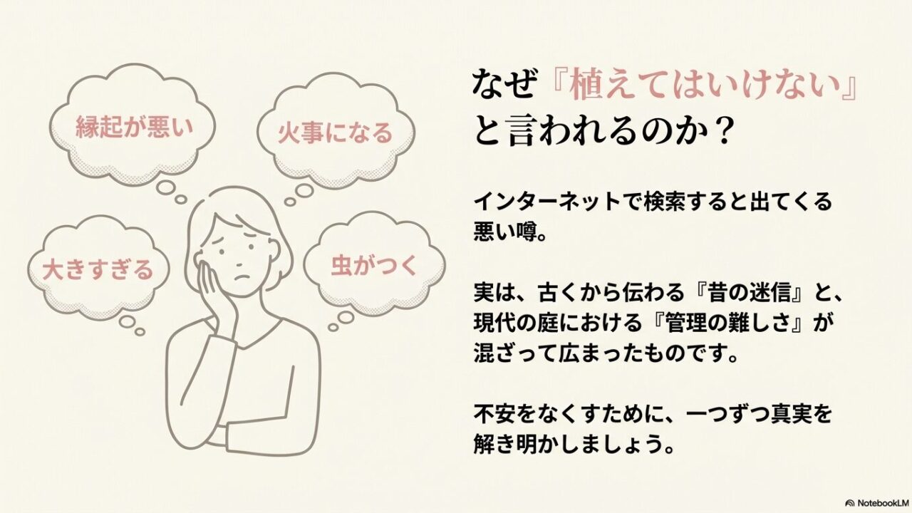骨拾いの箸として使われた理由である空洞になった枝の断面図と、タニウツギの花・葉のイラスト