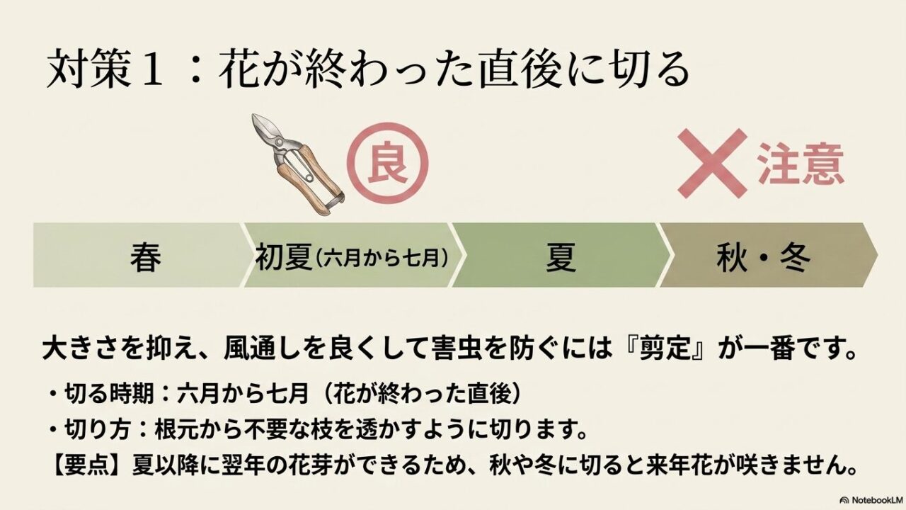タニウツギの剪定に最も適した時期が、花が終わった直後の初夏であることを示す解説図