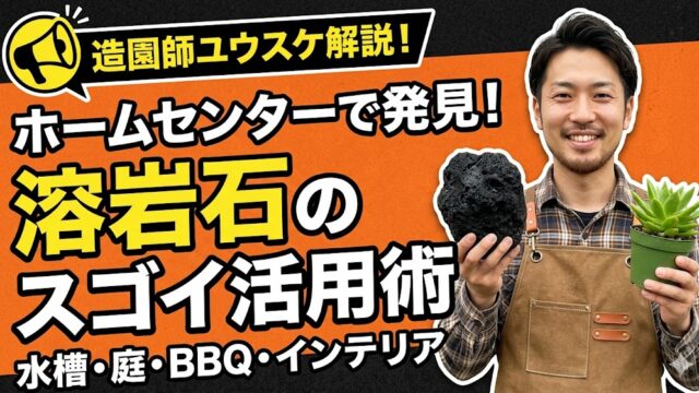 黒とオレンジを基調とした背景に、エプロン姿で笑顔の男性（造園師ユウスケ）が、左手に黒い溶岩石、右手に緑の観葉植物の鉢を持っている。左側には「造園師ユウスケ解説！」「ホームセンターで発見！溶岩石のスゴイ活用術」「水槽・庭・BBQ・インテリア」と、黄色と白の大きな太文字の日本語テキストが配置されている。左上にはメガホンのアイコンがある。