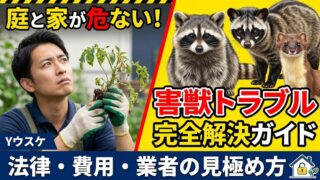 造園のプロ「ユウスケ」が解説する害獣対策のサムネイル。荒らされた植物を持つ心配そうな男性と、アライグマ、ハクビシン、イタチのイラスト。テキストで「庭と家が危ない！」「害獣トラブル完全解決ガイド」「法律・費用・業者の見極め方」と書かれている。
