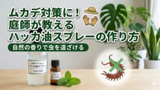 観葉植物のある部屋で、ハッカ油、無水エタノール、水のスプレーボトルを持つ手。隣にハッカ油の小瓶とミントの葉、ムカデのイラストが描かれた防虫対策のサムネイル画像。