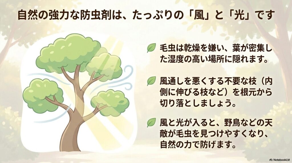 毛虫が嫌う風と光を取り入れるため、不要な内側の枝を剪定して風通しを良くする対策を図解したスライド